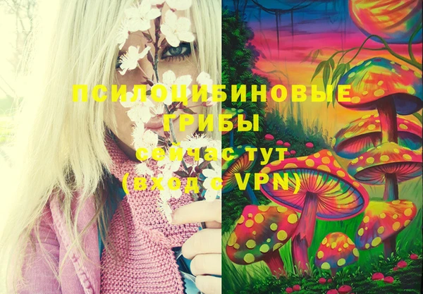ECSTASY Орск